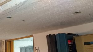 IMG_20190124_091611.jpg