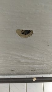 IMG_20190124_091302.jpg
