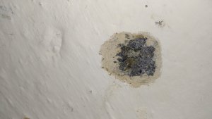 IMG_20190124_091428.jpg