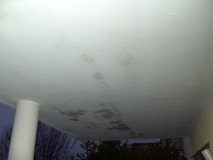 PICT2723.JPG