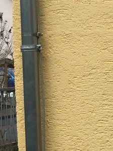 IMG_1037.JPG