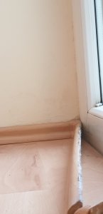 20190204_164152.jpg