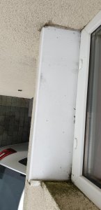 20190204_164100.jpg