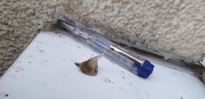20190207_170937.jpg