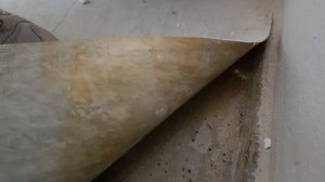 20190213_155701.jpg