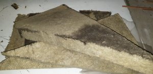 20190219_201029.jpg