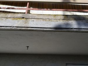 IMG_20190224_150215---.jpg