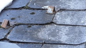 Eternitdach, Detail.JPG