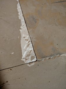 IMG_20190303_192917.jpg