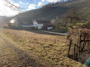 Grundstück (5).jpg