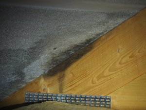 IMG_0316.jpg