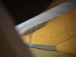 IMG_0312.jpg