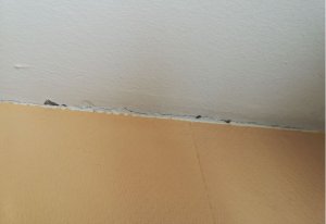 Deckenanschluß gerissen.JPG