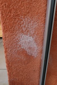 IMG_6552.JPG