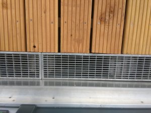 IMG_20180805_104150.jpg