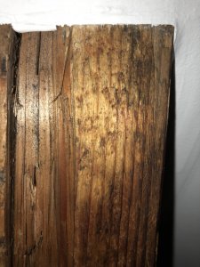 AD1E1A61-21CA-4D9C-A2B8-77267F0BCC63.jpeg