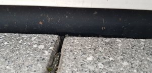 20190318_082315.jpg