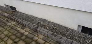 20190318_081952.jpg