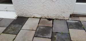 20190318_082039.jpg