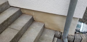 20190318_082015.jpg