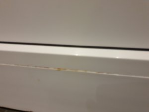 20190318_201639.jpg