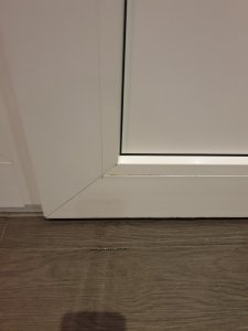 20190318_201620.jpg