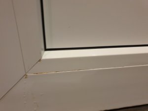 20190318_201627.jpg