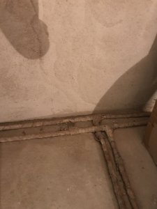 7181E9D1-0AA0-4381-A954-251C0C82C93A.jpeg
