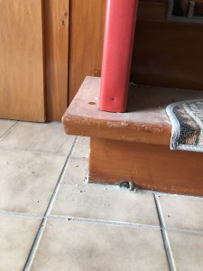 B2740EE2-E57E-4B01-864C-B42982128D98.jpeg