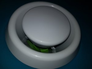 20190317_201217.jpg