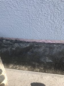 F3D09D0D-AEFC-4C7E-9705-412A7E9847AF.jpeg