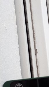 Screenshot_20190325-151857_Gallery.jpg