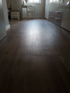 20190331_195440.jpg