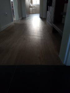 20190331_195506.jpg