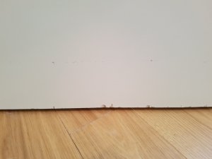 20190327_182351.jpg