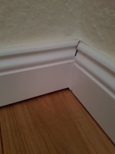 20190401_194040.jpg
