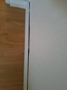 20190401_194018.jpg