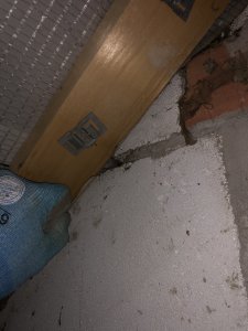 IMG_1774.jpg