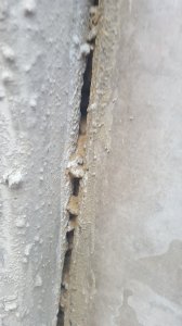 20190315_173432.jpg