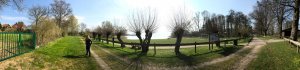 IMG-20190406-WA0010.jpg