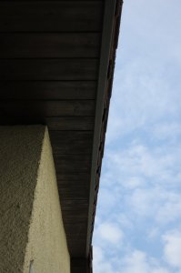 IMG_0007.JPG