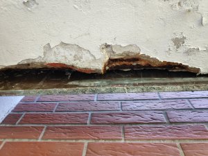 IMG_20190410_113116.jpg