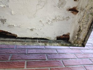 IMG_20190410_113136.jpg