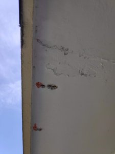 IMG_20190410_113205.jpg