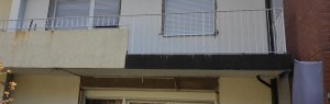 IMG_20190410_113238.jpg