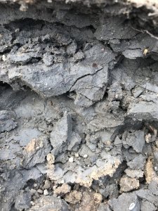347CA8B6-C44E-4854-8101-E5B8E6B63378.jpeg