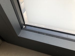 IMG_2612.jpg