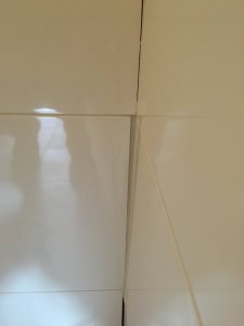 20190428_143321921_iOS.jpg