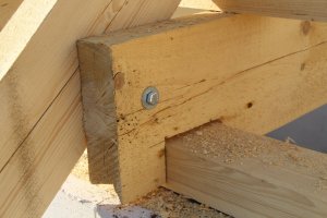 IMG_3462.JPG