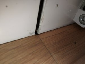 IMG_20190301_143023.jpg